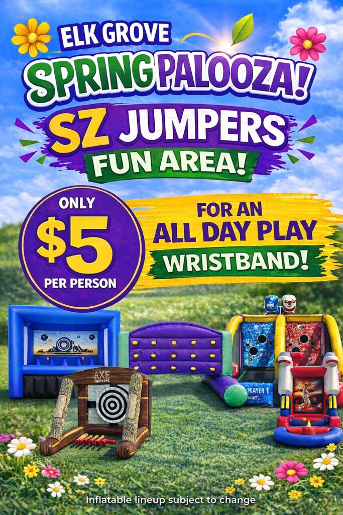 Kids Zone Flyer